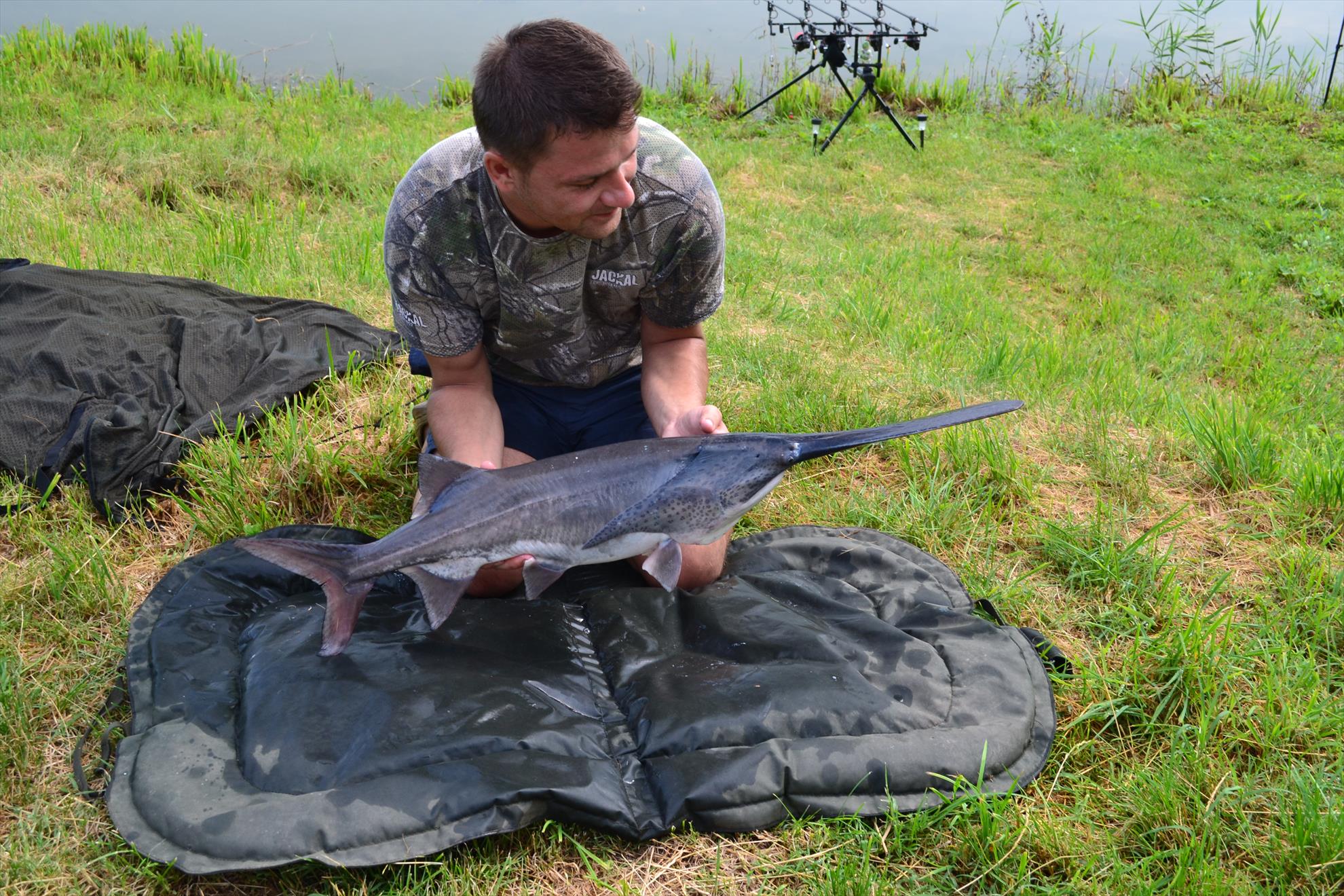 partide de pescuit - 20130624725.JPG